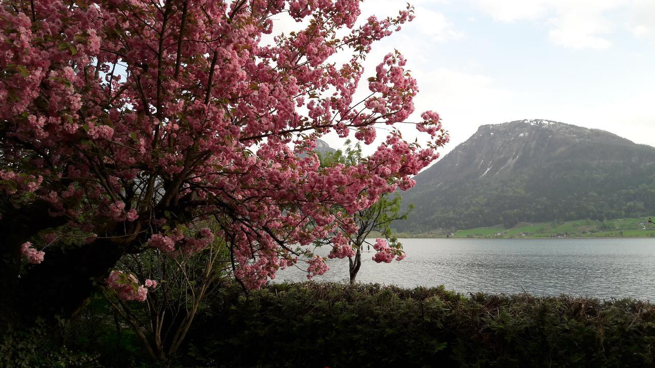 Aberseeblick Pension Ellmauer Saint Wolfgang Екстериор снимка